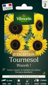 Tournesol Waooh! - Graines d'Exception